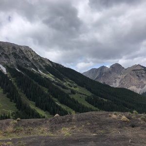 Meet your Posher, Sydney